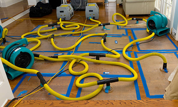 Professional Water Damage Restoration technician working in Woodward, OK